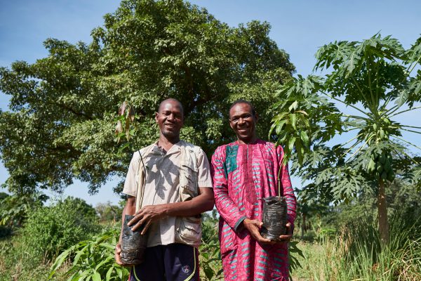 Trees for the Future in Senegal: Two farmers standing with their trees